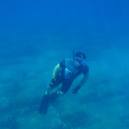 File Five Podgora (Split-Dalmatia)